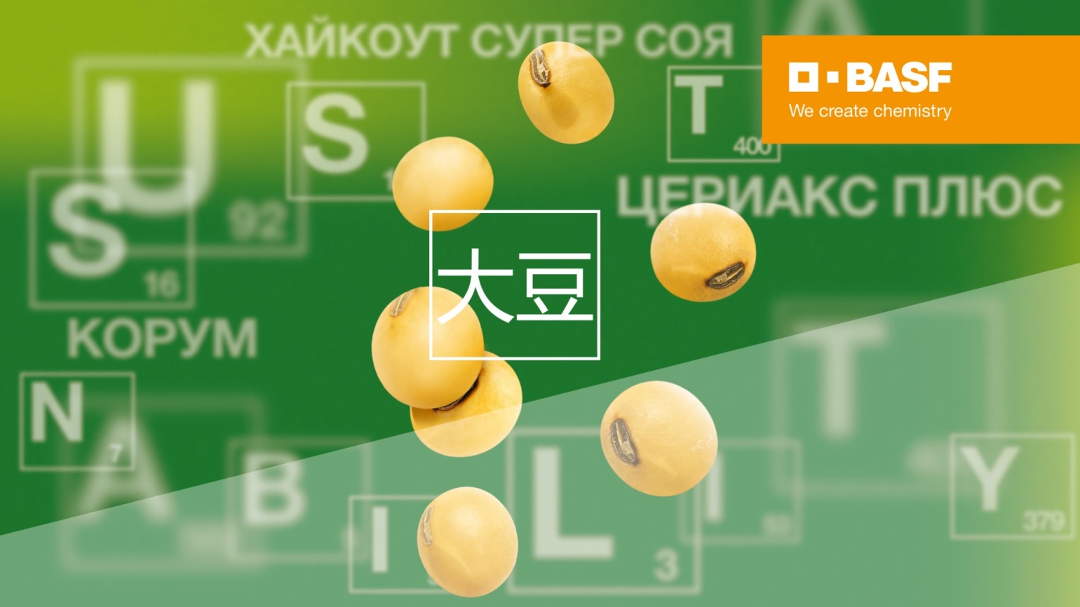 Решение сою. Решение сою