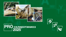 Брошюра по склеротиниозу