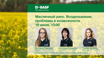 Вебинар о проблемах и возможностях в возделывании масличного рапса от 19 июня