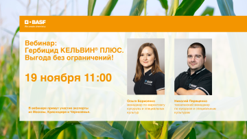 Вебинар по защите кукурузы от 19 ноября