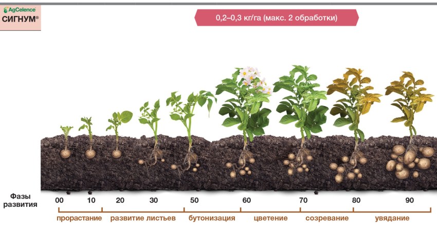 СИГНУМ® - Решения для сельского хозяйства