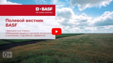 Полевой вестник BASF. Пивоваренный ячмень: защита от сетчатой пятнистости + AgCelence-эффект