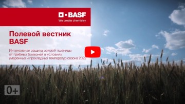Полевой вестник BASF. Опыт применения РЕКС® ПЛЮС и ЦЕРИАКС® ПЛЮС на озимой пшенице