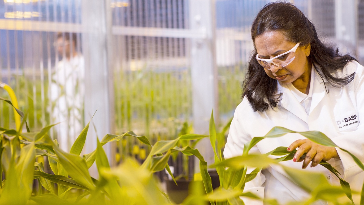 Исследования и разработки - 4