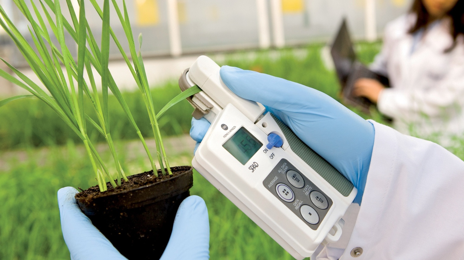 Исследования и разработки - 5