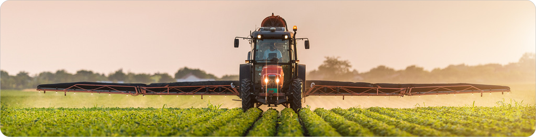 weather-forecast__cover