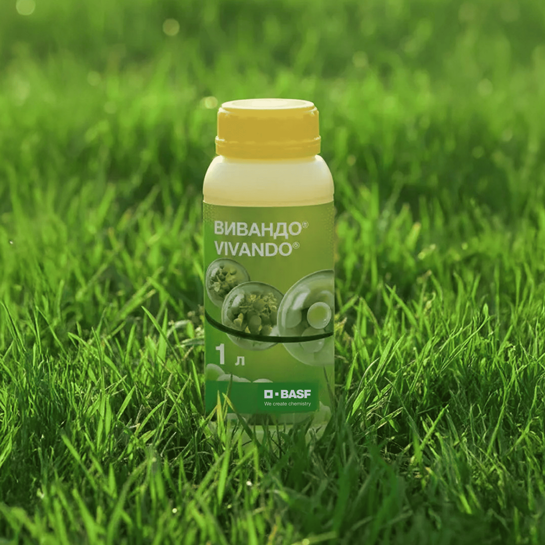 ВИВАНДО®