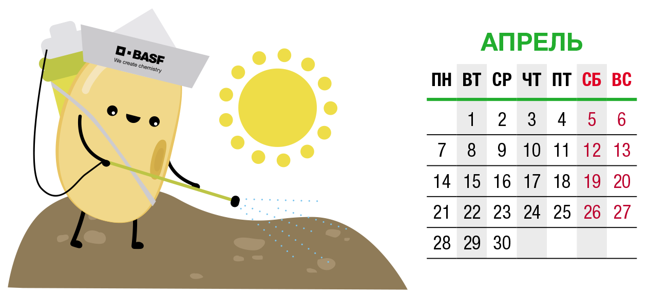 image block alt