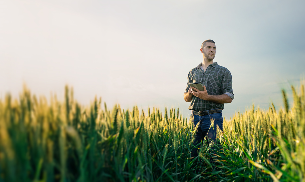 БРОШЮРЫ BASF 2026