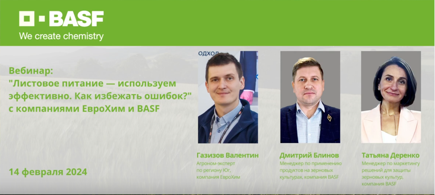 Листовое питание