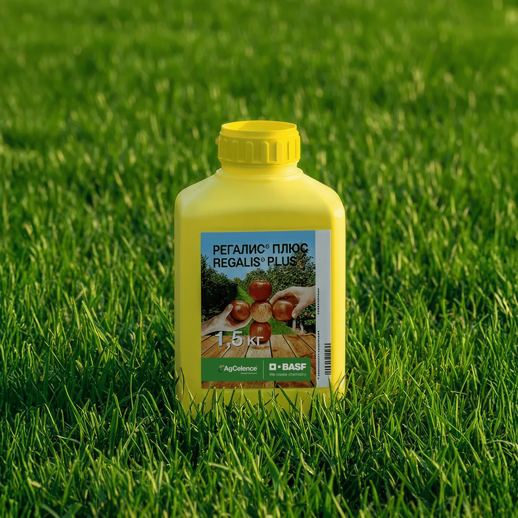 РЕГАЛИС® ПЛЮС