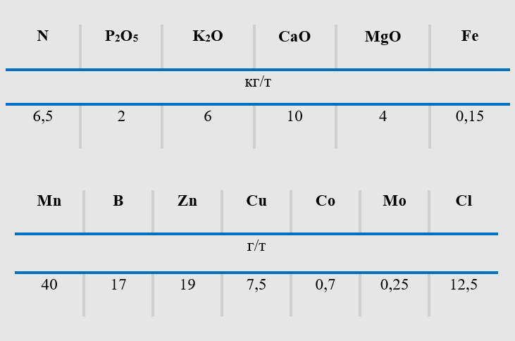 image block alt