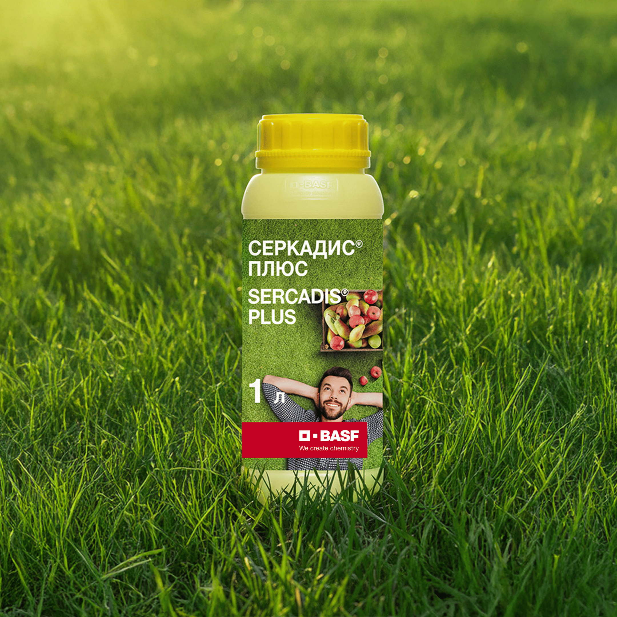 СЕРКАДИС® ПЛЮС