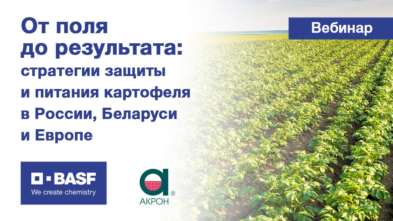 От поля до результата: стратегии защиты и питания картофеля в России, Беларуси и Европе