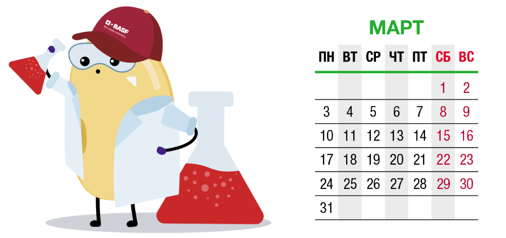 image block alt