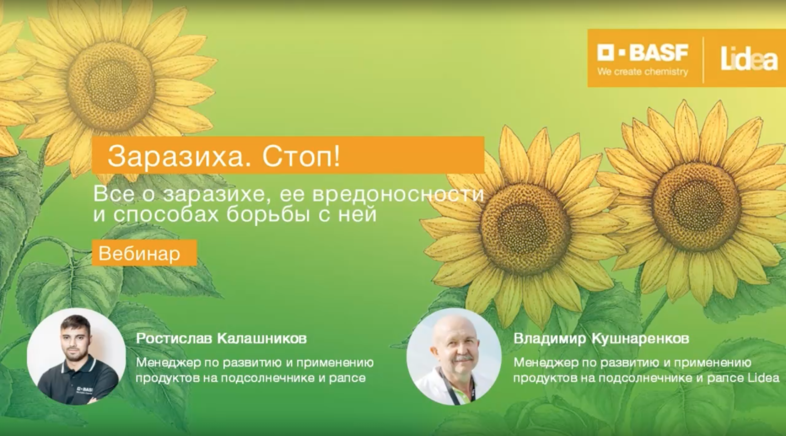 Заразиха. Стоп!!