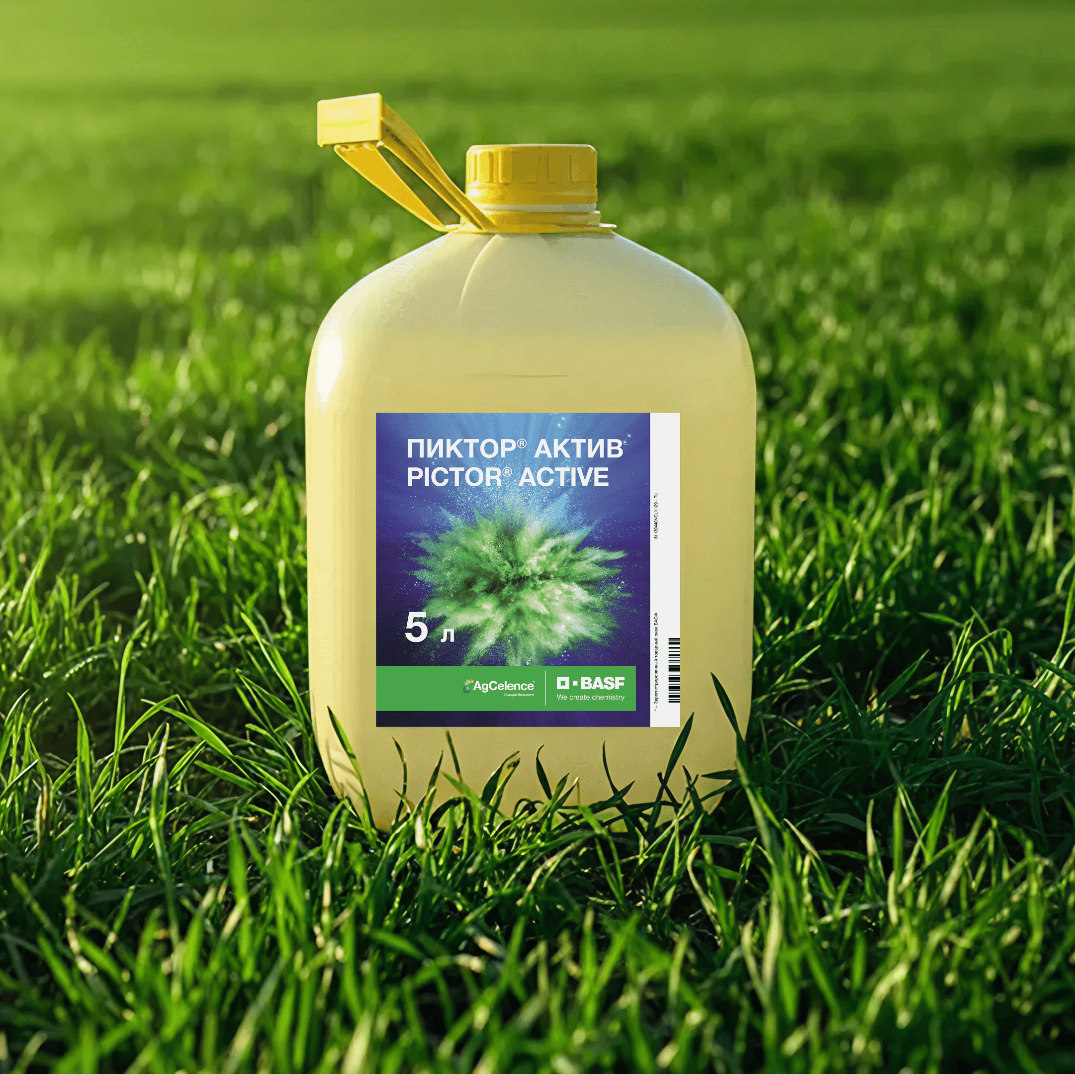 ПИКТОР® АКТИВ