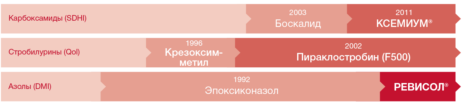 image block alt