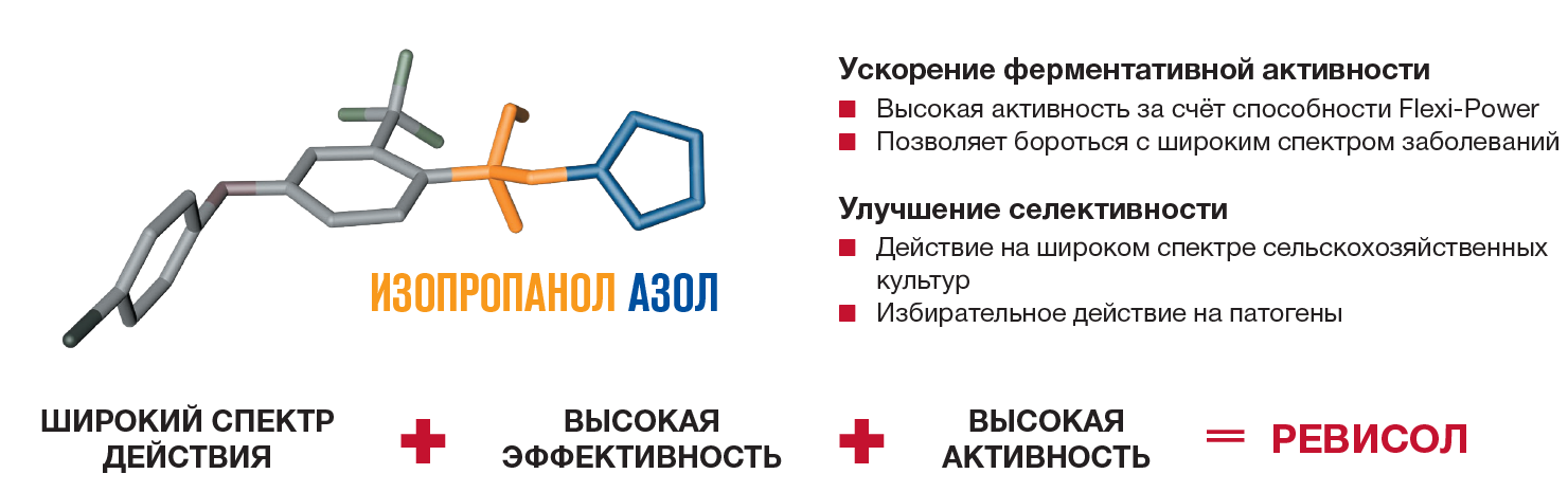 image block alt