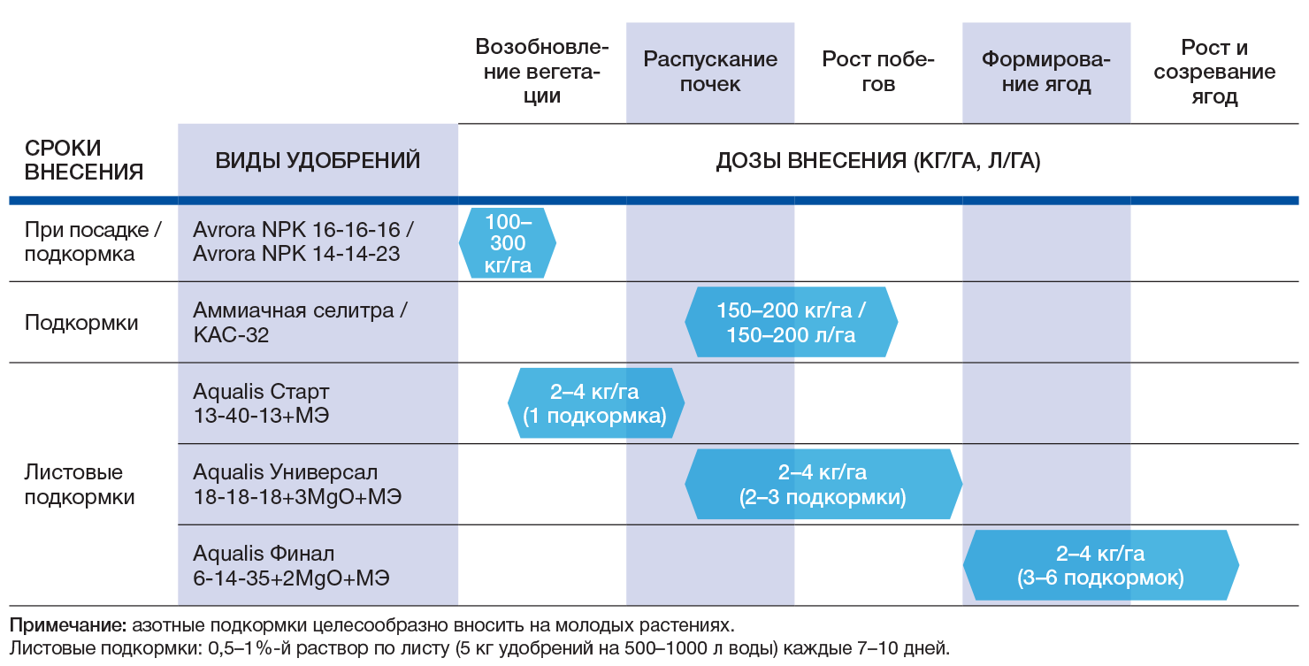 image block alt