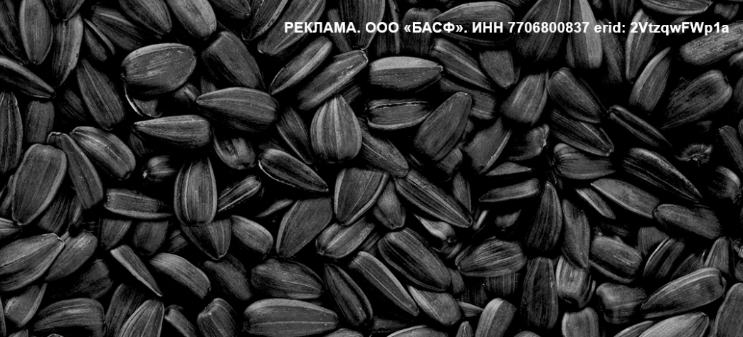 Ограниченное предложение на семена подсолнечника в интернет-магазине BASF