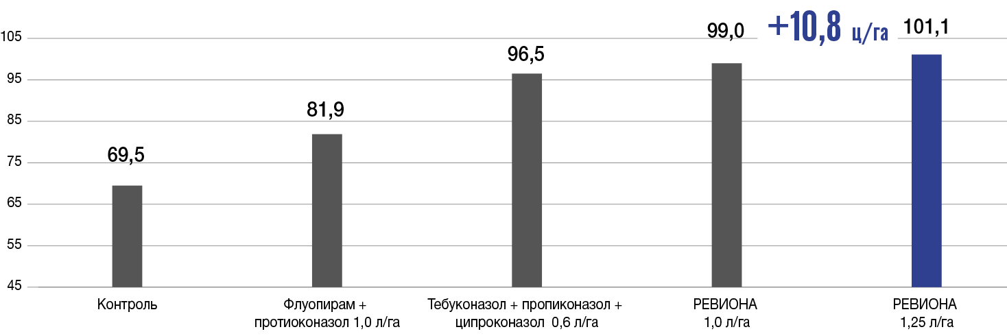 image block alt
