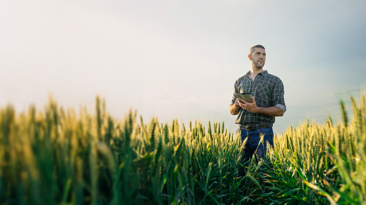 БРОШЮРЫ BASF 2026