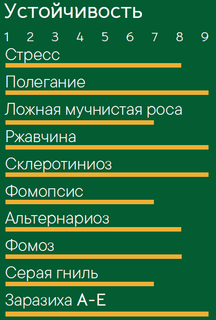 Арнеб-СУР .png