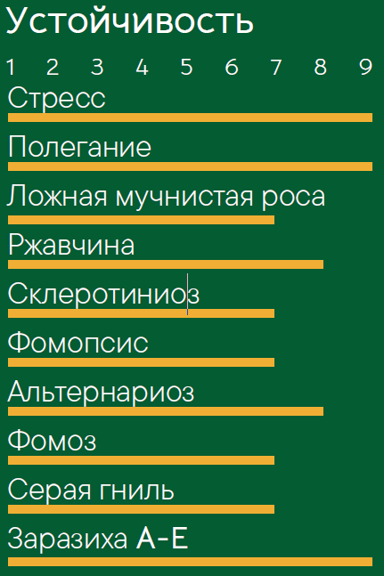 Клип ВО устойчивость.png