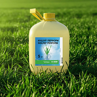 ИНШУР® ПЕРФОРМ