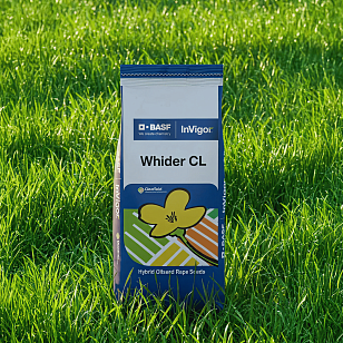 Видер КЛ (Clearfield)