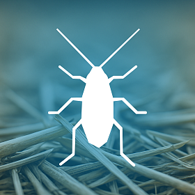 Препараты специального назначения