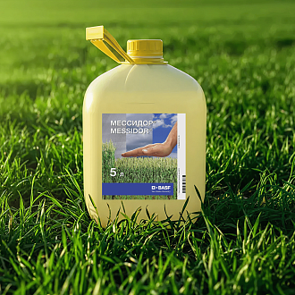 МЕССИДОР®