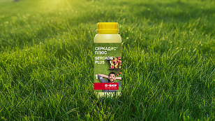 СЕРКАДИС® ПЛЮС