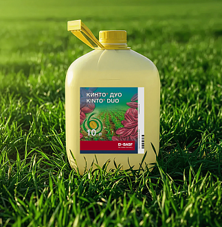 КИНТО® ДУО