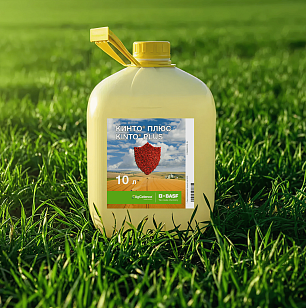 КИНТО® ПЛЮС