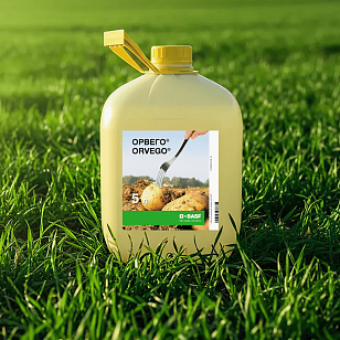 ОРВЕГО®