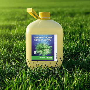 ПИКТОР® АКТИВ
