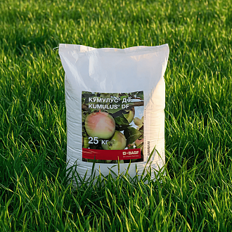 КУМУЛУС® ДФ